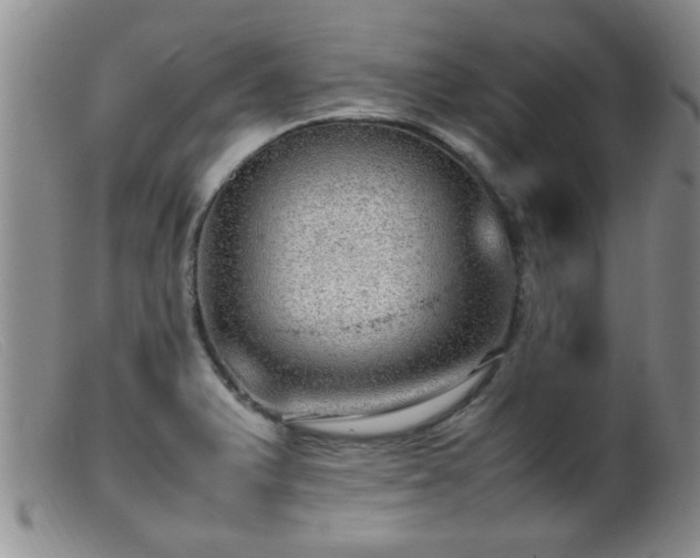 X0000099461375200805161036