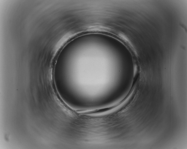 X0000099461376200805161036