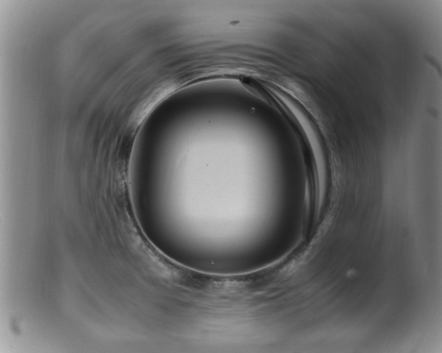 X0000099461377200805161036