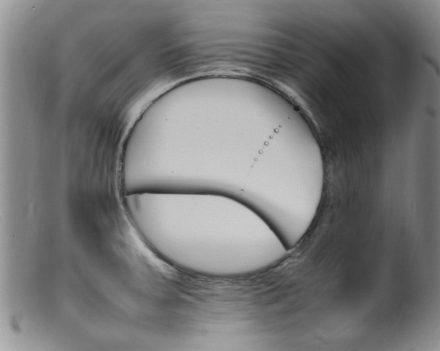 X0000099461379200805161036