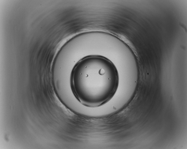 X0000099461380200805161036