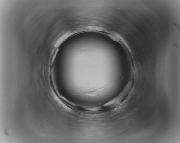 X0000099461381200805161036