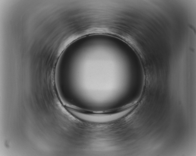 X0000099461382200805161036