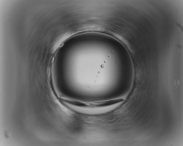 X0000099461383200805161036