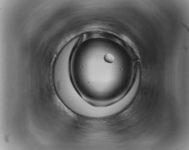 X0000099461384200805161036