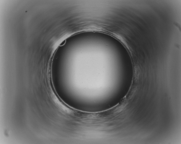 X0000099461387200805161036