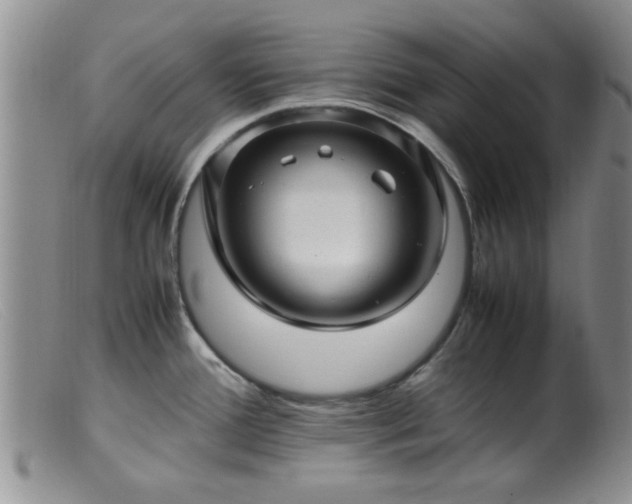 X0000099461388200805161036