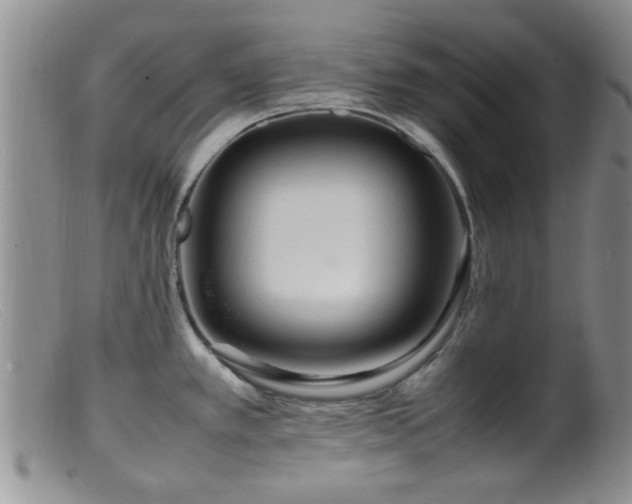 X0000099461389200805161036