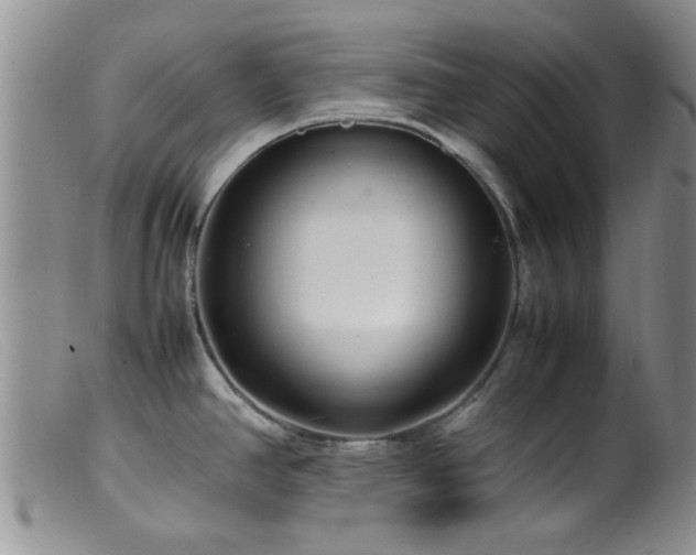 X0000099461390200805161036