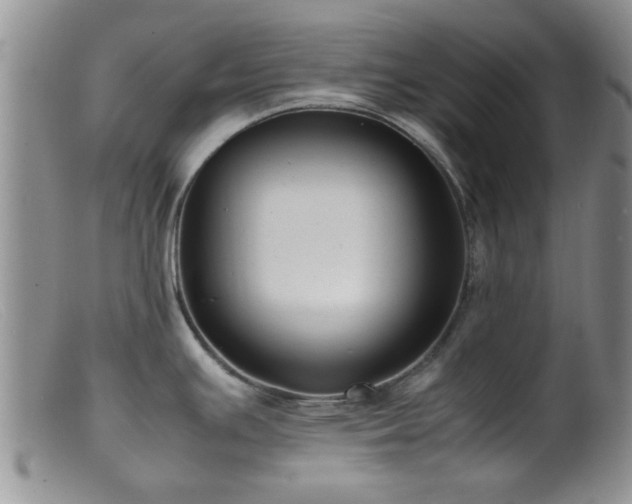 X0000099461391200805161036