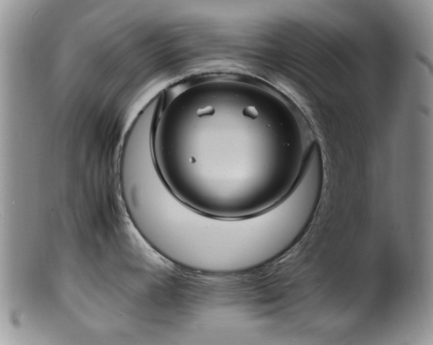 X0000099461392200805161036