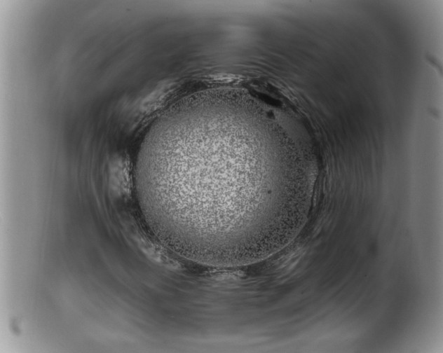 X0000099461394200805161035