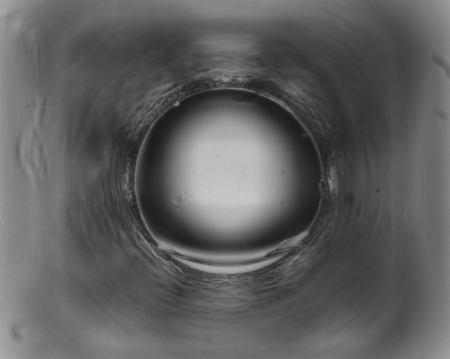 X0000099461396200805161035