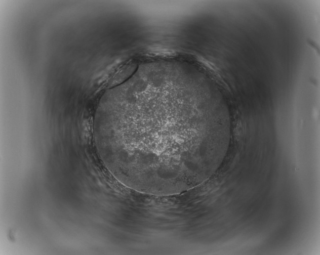 X0000099461397200805161035