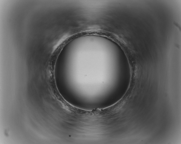 X0000099461400200805161035