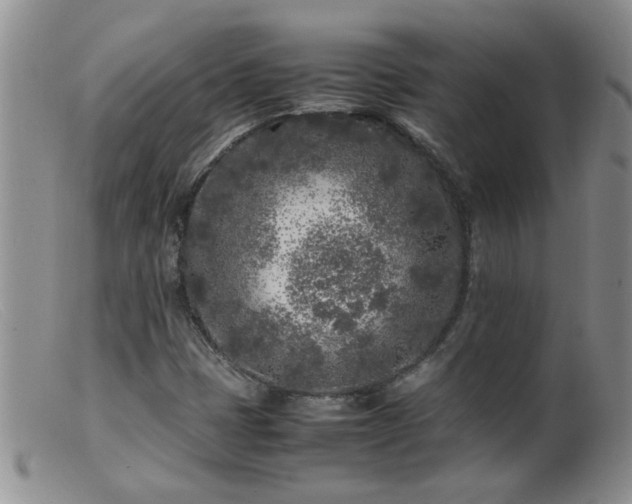 X0000099461401200805161035