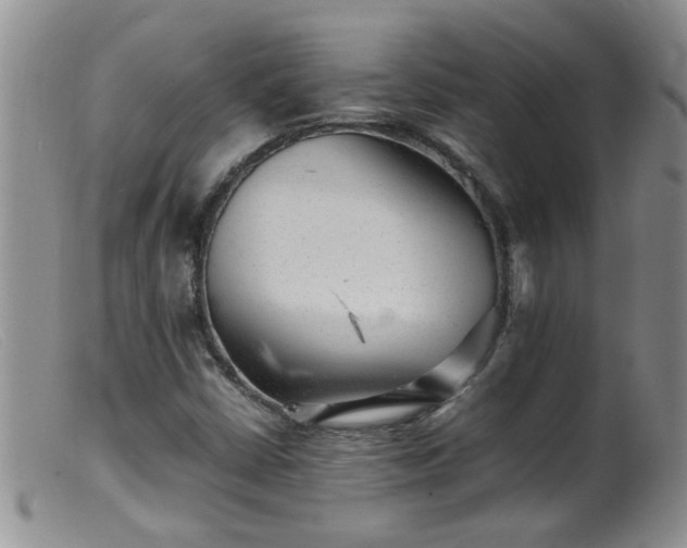 X0000099461402200805161035