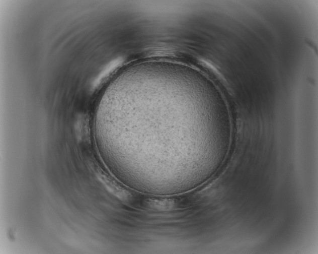 X0000099461403200805161035