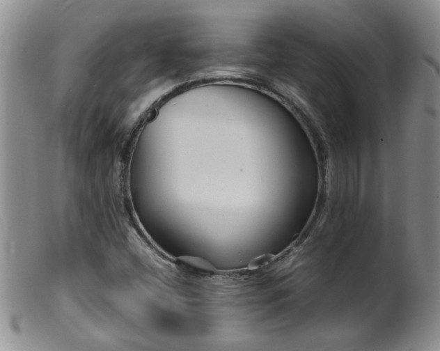 X0000099461404200805161035