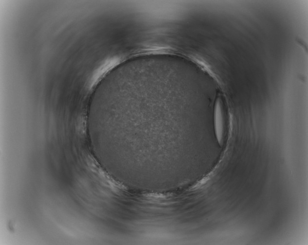 X0000099461405200805161036