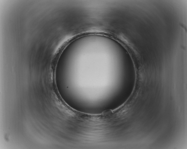 X0000099461408200805161036