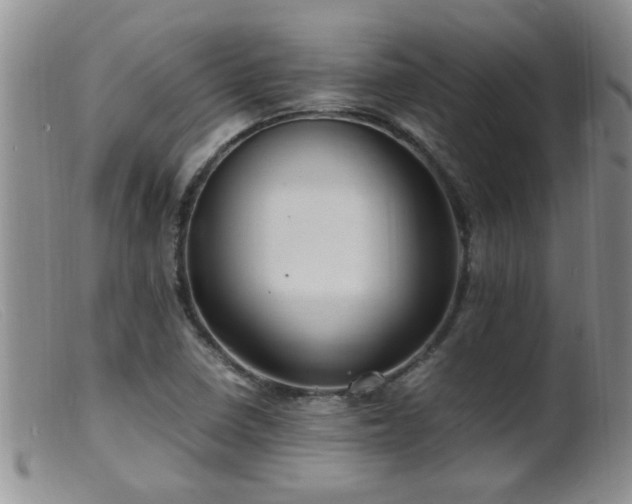 X0000099461410200805161036