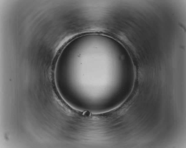 X0000099461412200805161036