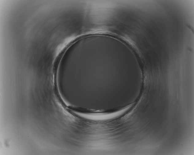 X0000099461414200805161036