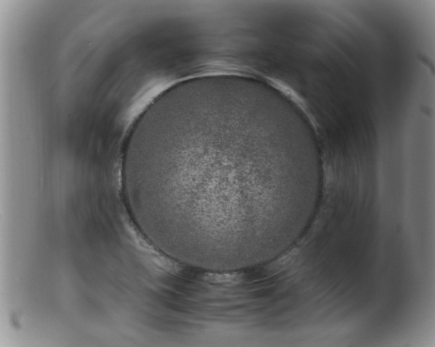 X0000099461415200805161036