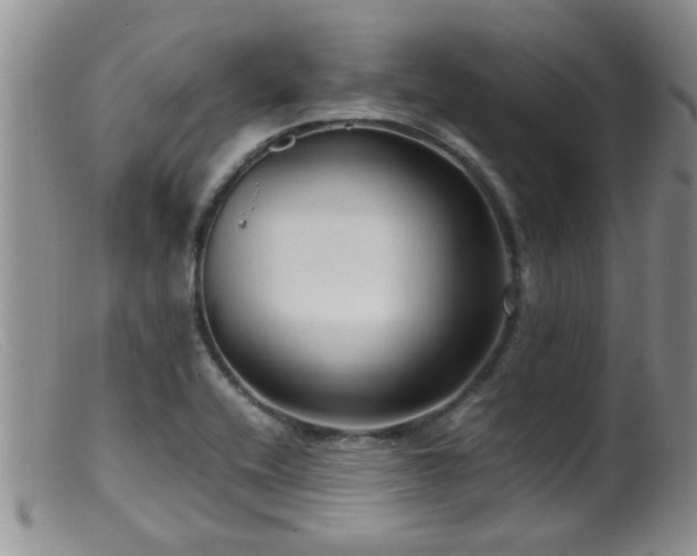 X0000099461416200805161036