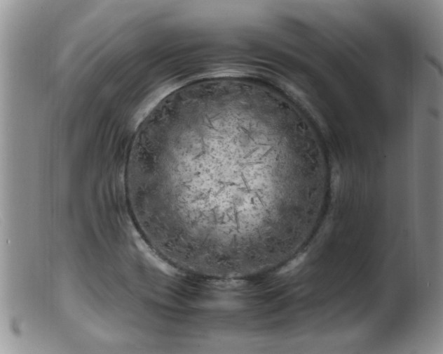 X0000099461417200805161036