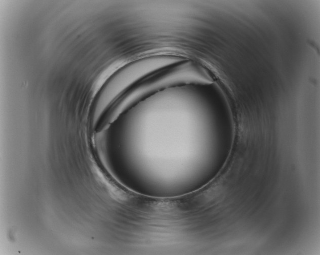 X0000099461418200805161036