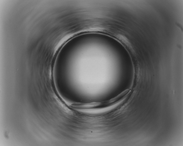 X0000099461420200805161036