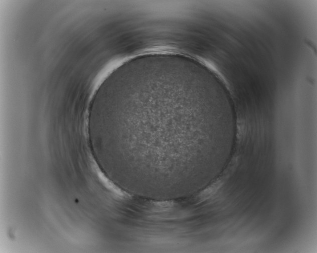 X0000099461421200805161036