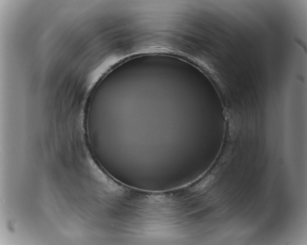 X0000099461422200805161036