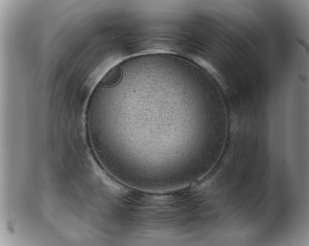 X0000099461423200805161036