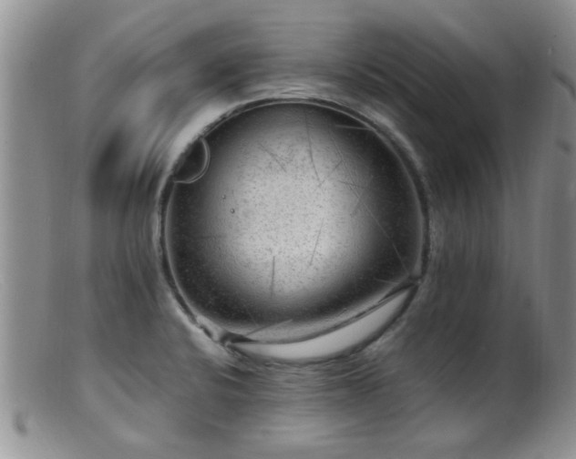 X0000099461424200805161036