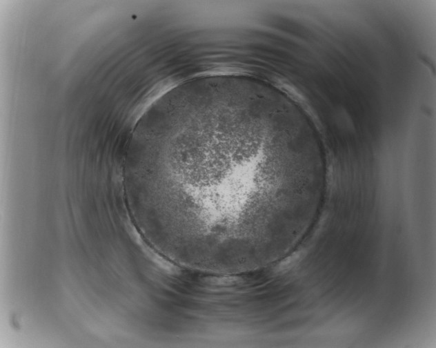 X0000099461425200805161036