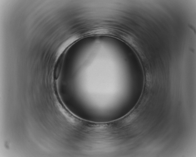 X0000099461426200805161036