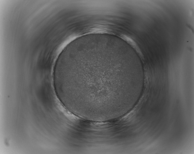 X0000099461427200805161036