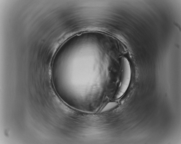 X0000099461428200805161036