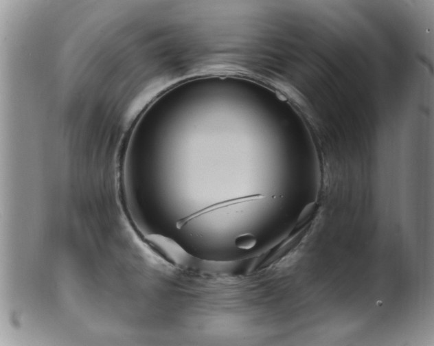 X0000099461430200805161036