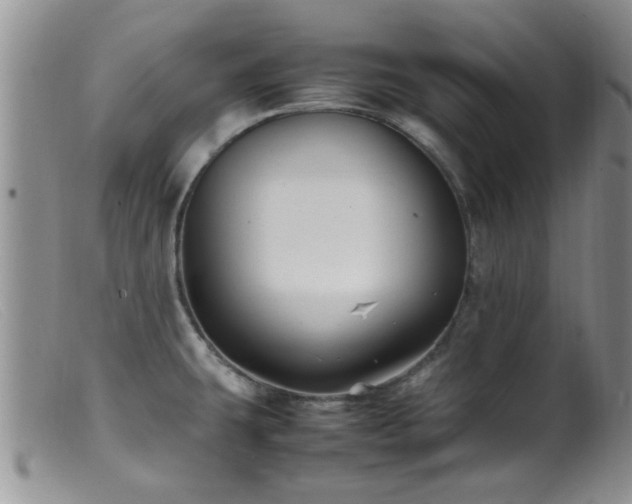 X0000099461431200805161036