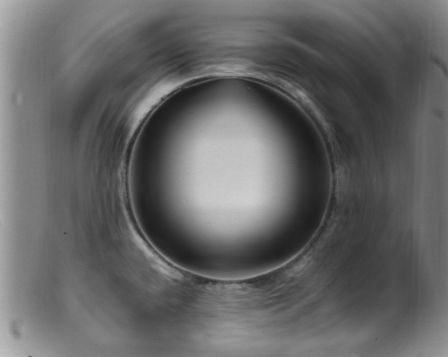 X0000099461432200805161036