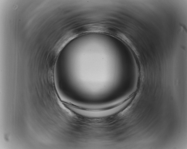 X0000099461433200805161036