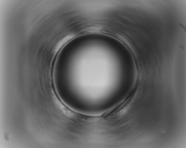 X0000099461434200805161036