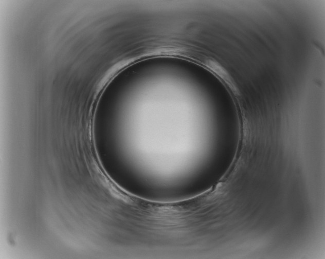 X0000099461436200805161036