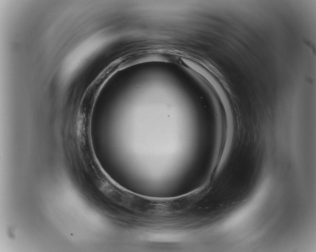 X0000099461438200805161036