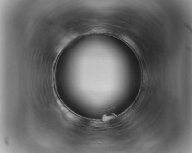 X0000099461439200805161036