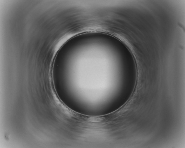 X0000099461440200805161036